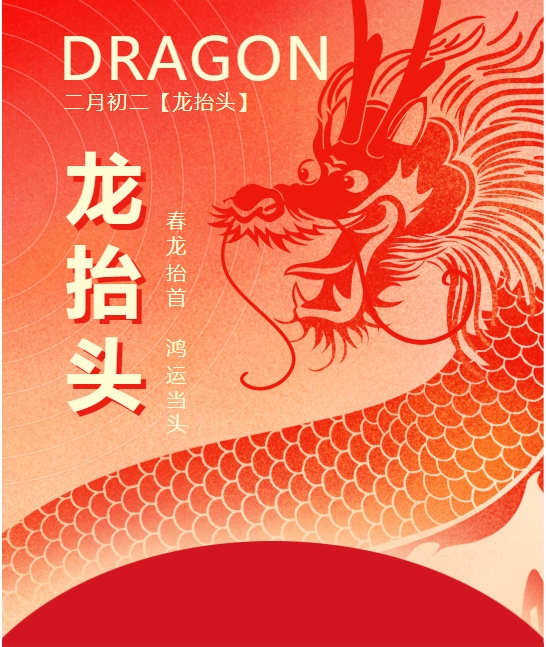二月二龍?zhí)ь^，春龍振翅鴻運(yùn)啟 —— 佳木斯網(wǎng)云信息科技有限公司與您共迎新春盛景